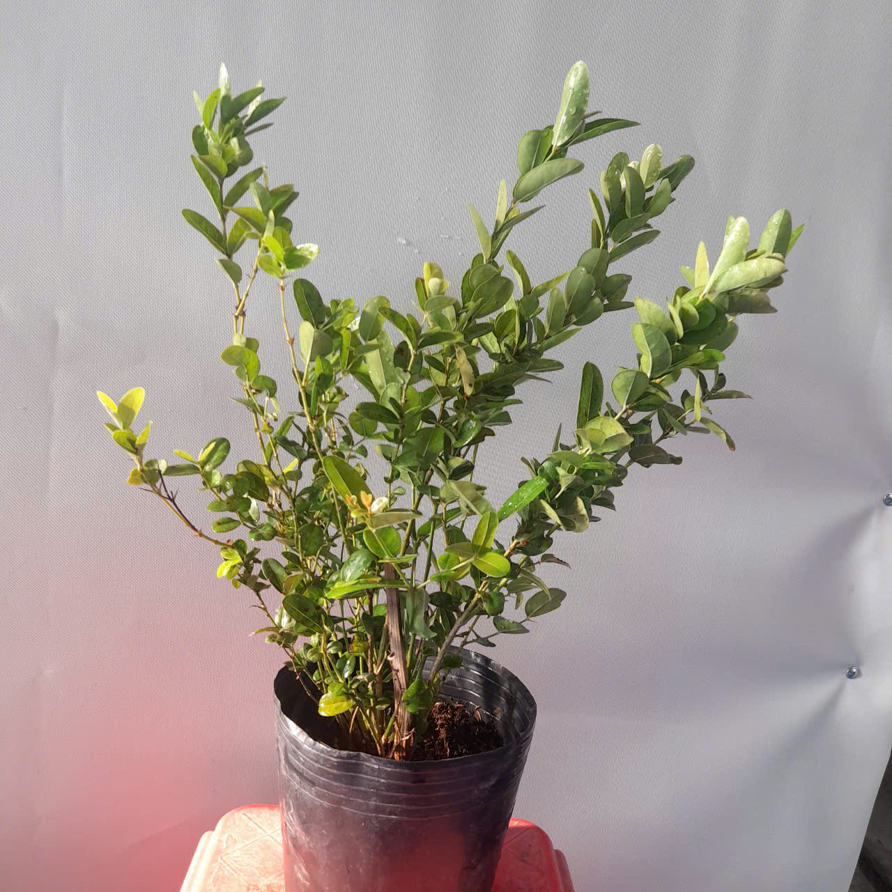 z6291626691126_4f587d931abd573737728be7f4845348