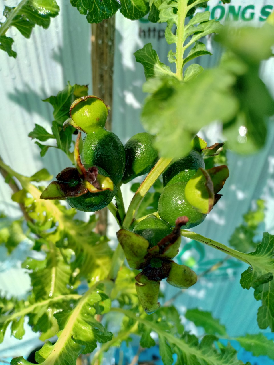 z2499183564063_cae8f7601a6d8f81e22886a35feb78fc