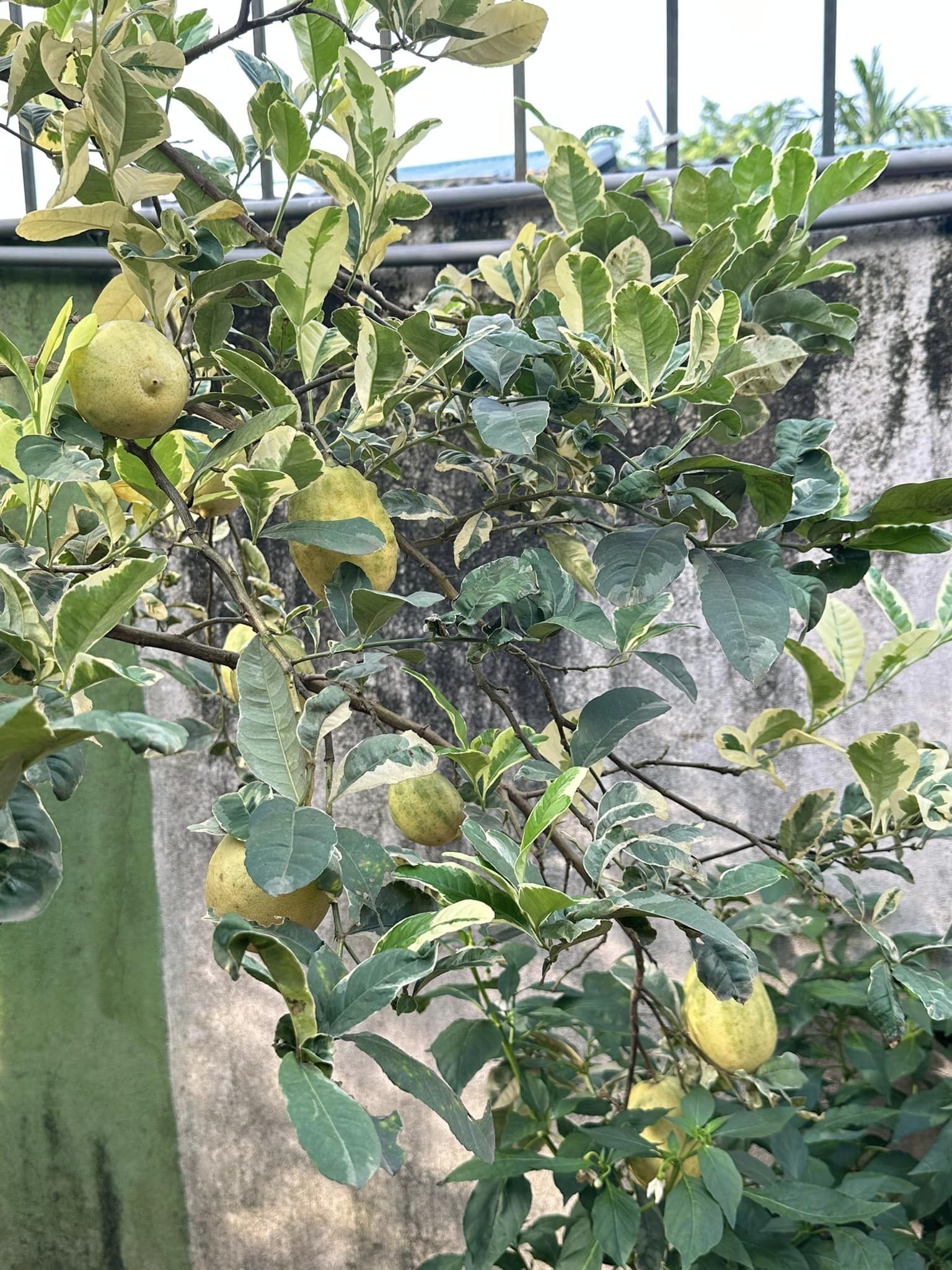 hkji498498498