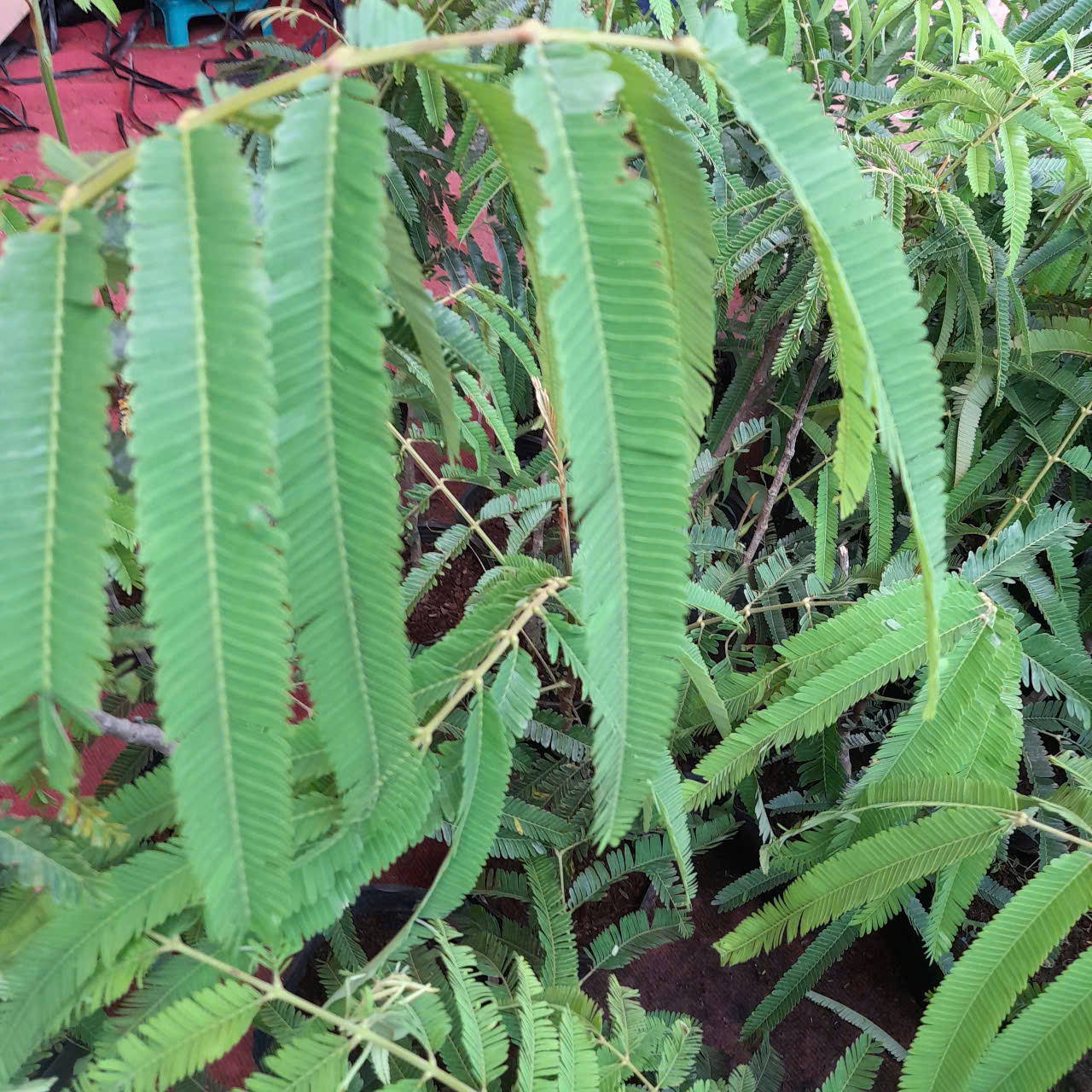 gen-h-z6650110242641_138688be81118794f0d0e962432df575